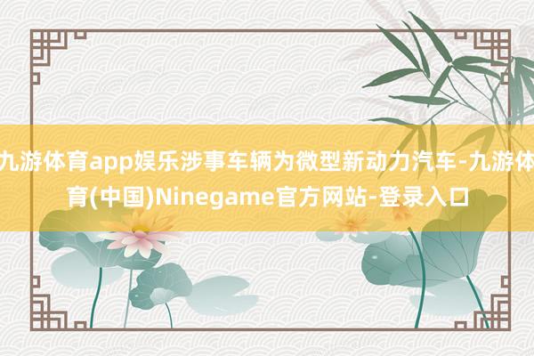 九游体育app娱乐涉事车辆为微型新动力汽车-九游体育(中国)Ninegame官方网站-登录入口